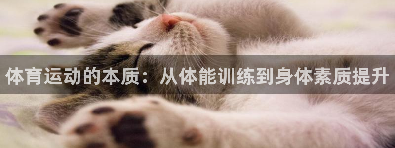 意昂3平台主管