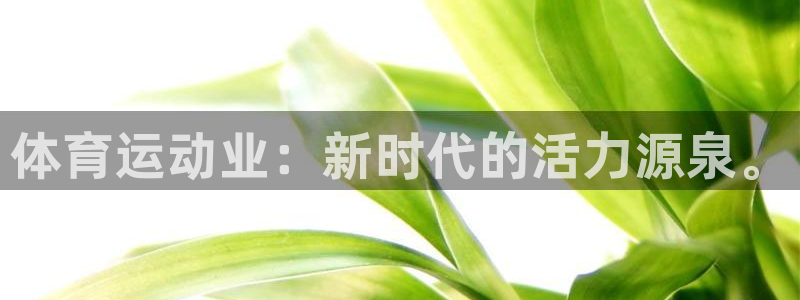 福建意昂3机电股份公司