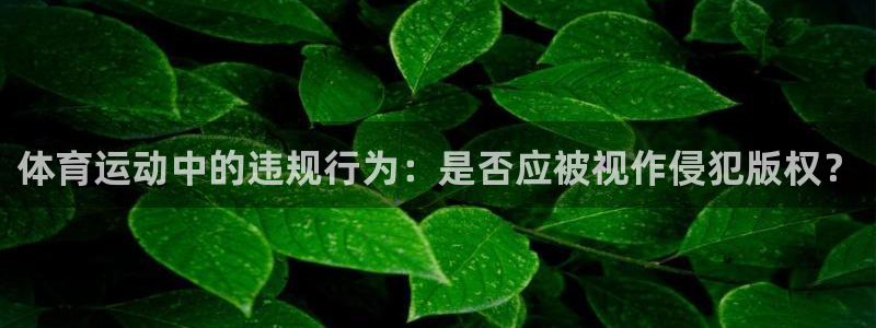 意昂3体育凯捷登陆