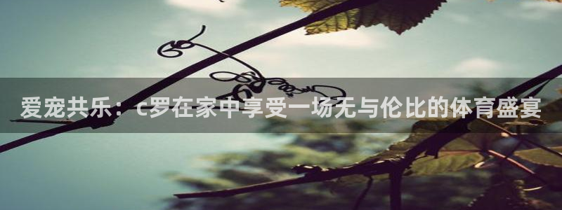 意昂3体育平台总代理