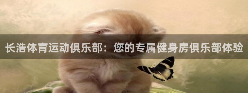 意昂3体育和杏耀是哪个公司的