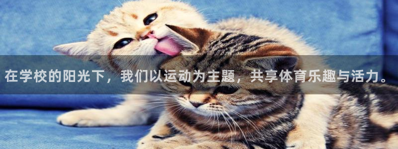 意昂3零能源集团