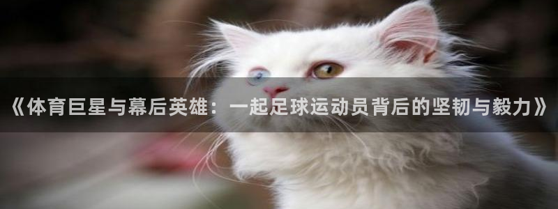意昂32平台登录