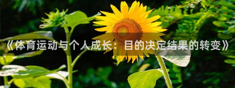 意昂3f凯捷注册