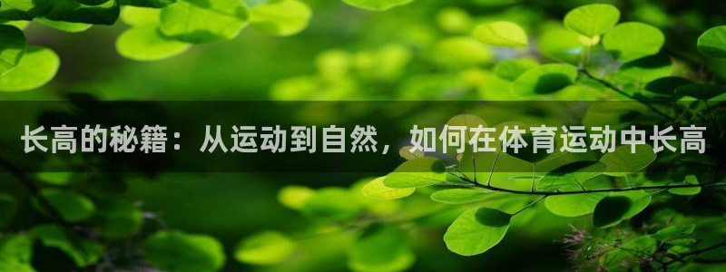 意昂3体育官网注册