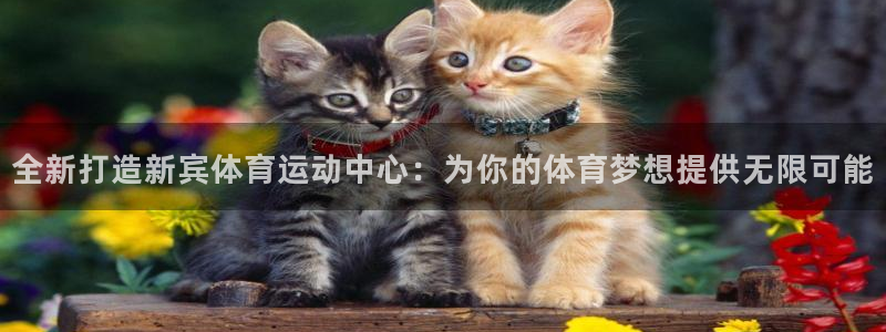 意昂35
