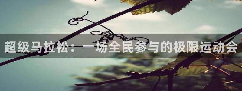 意昂3体育网页版入口