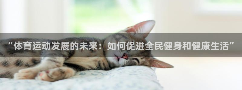意昂3体育用品