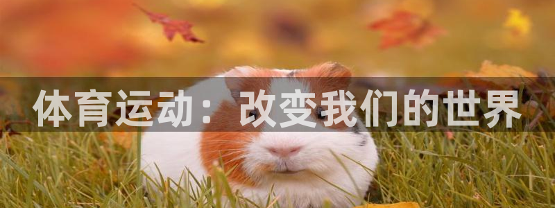 意昂32登录地址