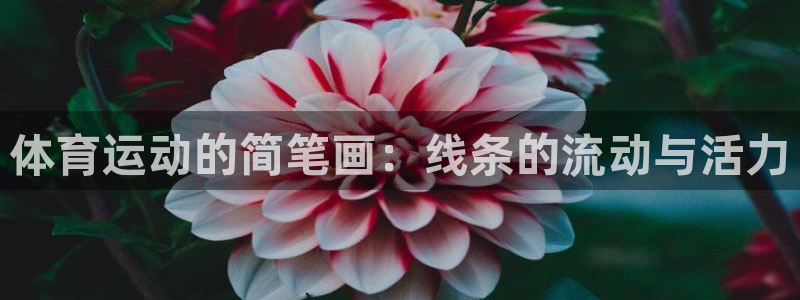 意昂3f凯捷平台在线注册