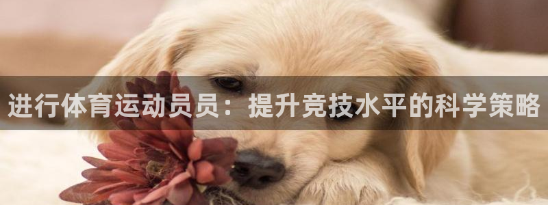 www.意昂3体育.com