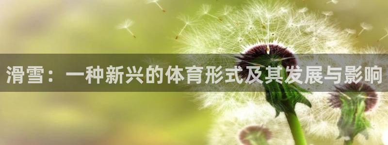 意昂3体育网页版入口