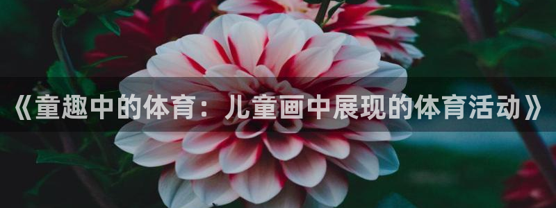 意昂3体育