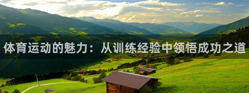 东莞市意昂3电子科技有限公司